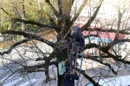 ZAČETEK POSTAVITVE  PRAZNIČNE OKRASITVE PO CERKNICI 04 FOTO LJUBO VUKELIČ